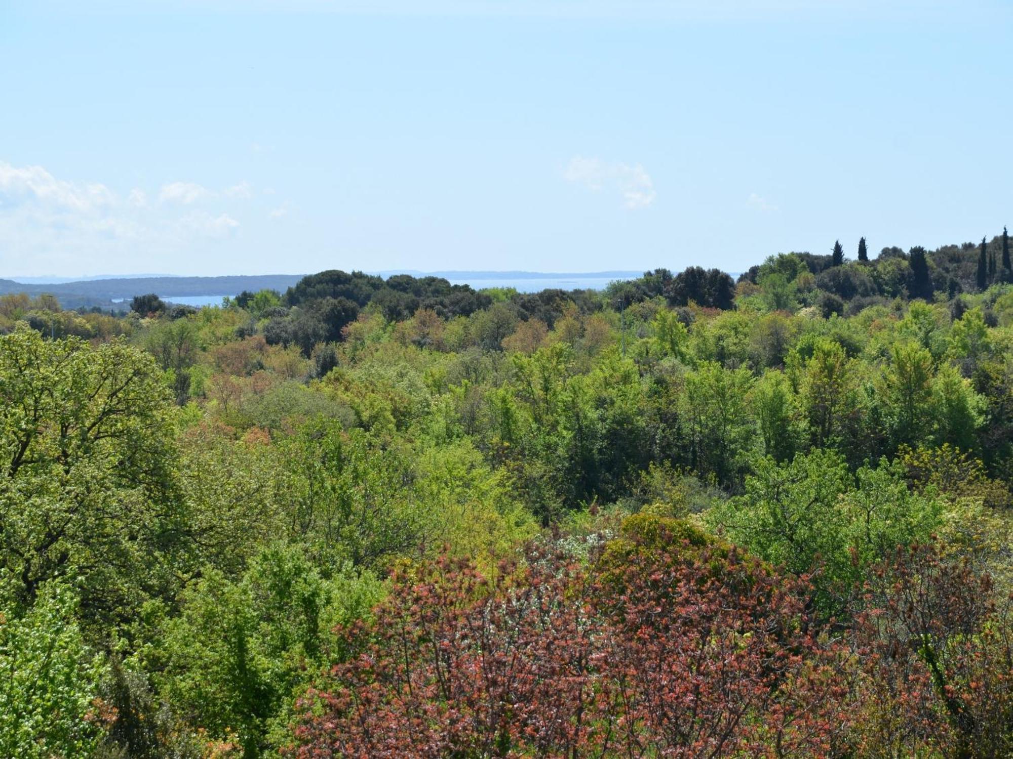 Apartment Ana Rovinj